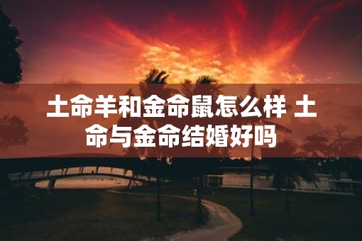 土命羊和金命鼠怎么样 土命与金命结婚好吗