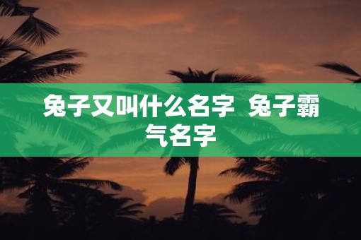 兔子又叫什么名字  兔子霸气名字