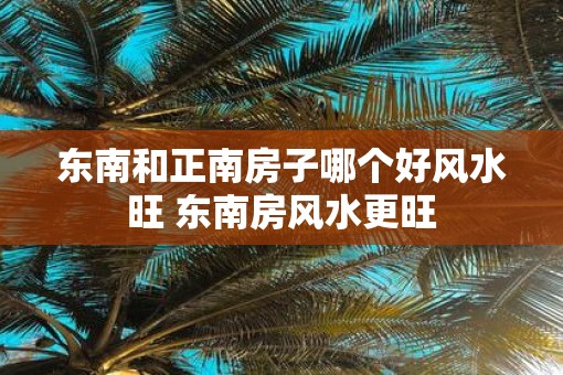 东南和正南房子哪个好风水旺 东南房风水更旺