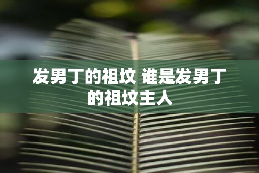 发男丁的祖坟 谁是发男丁的祖坟主人
