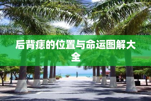 后背痣的位置与命运图解大全