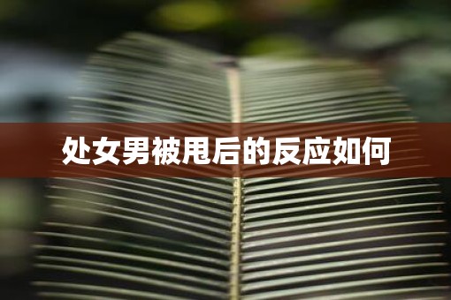 处女男被甩后的反应如何