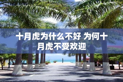 十月虎为什么不好 为何十月虎不受欢迎 十月虎为什么不好 为何十月虎不受欢迎