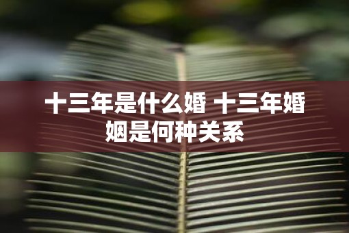 十三年是什么婚 十三年婚姻是何种关系
