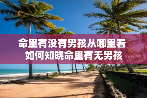 命里有没有男孩从哪里看 如何知晓命里有无男孩
