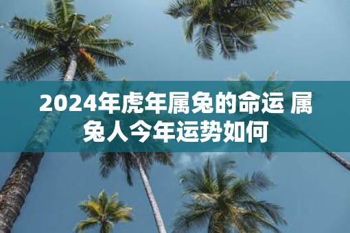 2025年虎年属兔的命运 属兔人今年运势如何