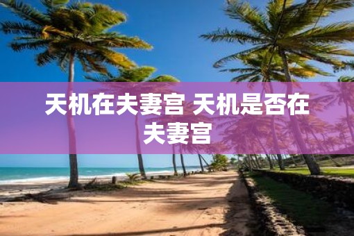 天机在夫妻宫 天机是否在夫妻宫