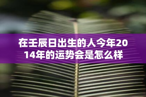 在壬辰日出生的人今年2014年的运势会是怎么样