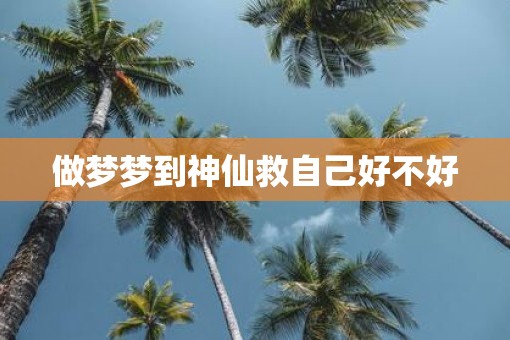 做梦梦到神仙救自己好不好