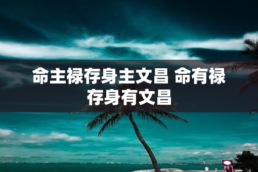 命主禄存身主文昌 命有禄存身有文昌