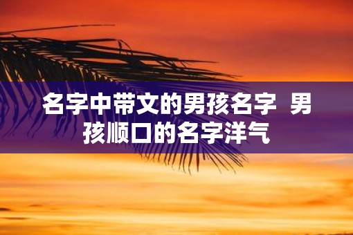 名字中带文的男孩名字  男孩顺口的名字洋气