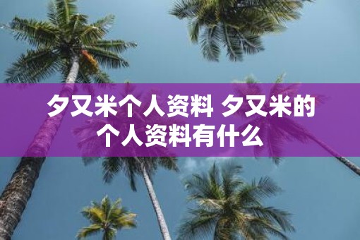夕又米个人资料 夕又米的个人资料有什么