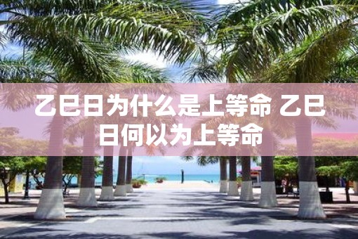 乙巳日为什么是上等命 乙巳日何以为上等命