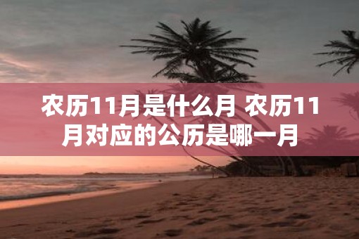 农历11月是什么月 农历11月对应的公历是哪一月