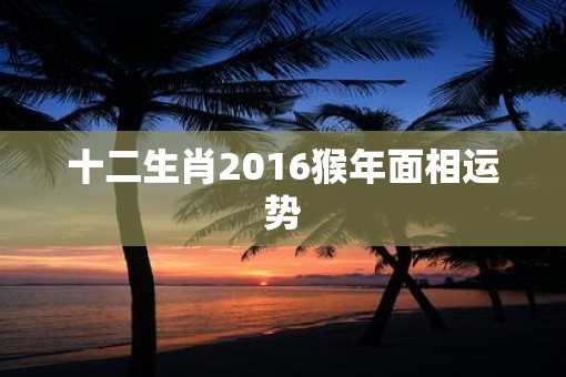 十二生肖2016猴年面相运势