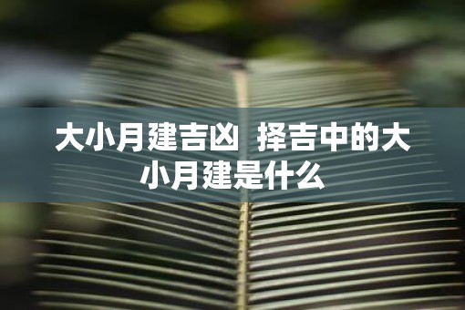 大小月建吉凶  择吉中的大小月建是什么