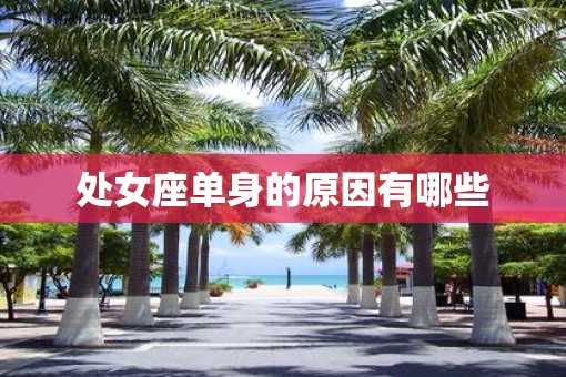 处女座单身的原因有哪些
