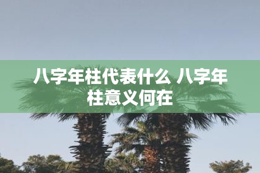 八字年柱代表什么 八字年柱意义何在