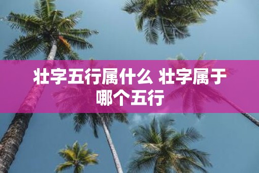 壮字五行属什么 壮字属于哪个五行