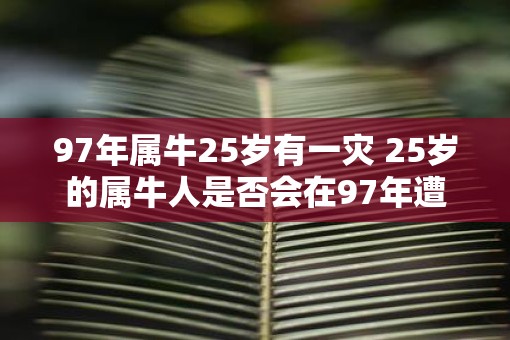 97年属牛25岁有一灾 25岁的属牛人是否会在97年遭遇灾难