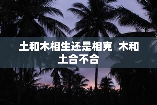 土和木相生还是相克  木和土合不合