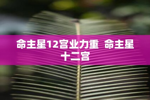 命主星12宫业力重  命主星十二宫