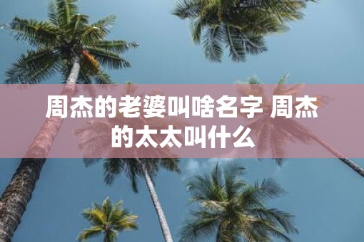 周杰的老婆叫啥名字 周杰的太太叫什么