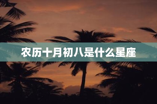 农历十月初八是什么星座