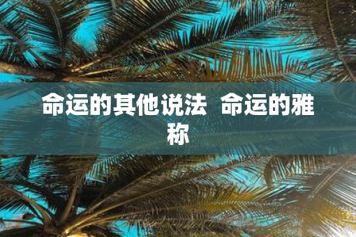 命运的其他说法  命运的雅称