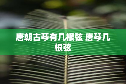 唐朝古琴有几根弦 唐琴几根弦