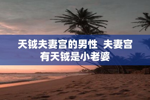 天钺夫妻宫的男性  夫妻宫有天钺是小老婆