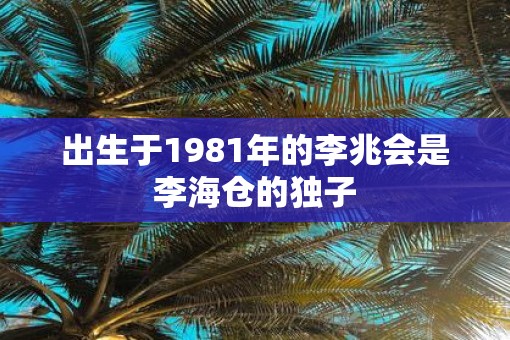 出生于1981年的李兆会是李海仓的独子