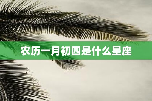 农历一月初四是什么星座