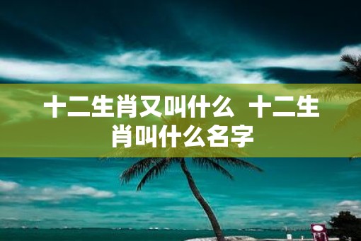 十二生肖又叫什么  十二生肖叫什么名字