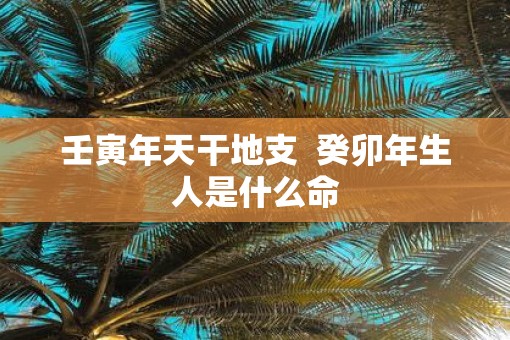 壬寅年天干地支  癸卯年生人是什么命