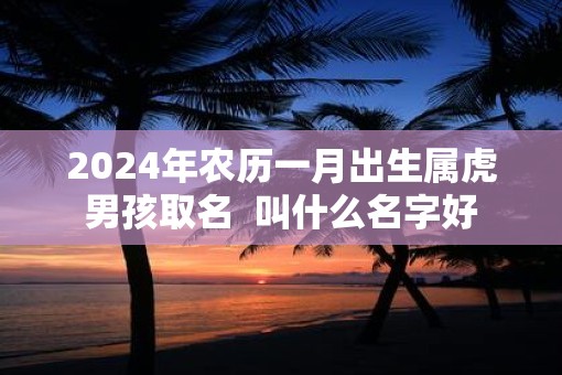 2025年农历一月出生属虎男孩取名  叫什么名字好