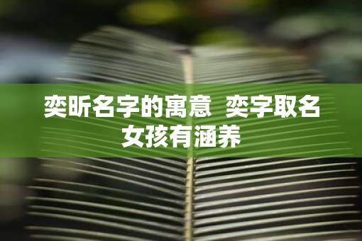 奕昕名字的寓意  奕字取名女孩有涵养