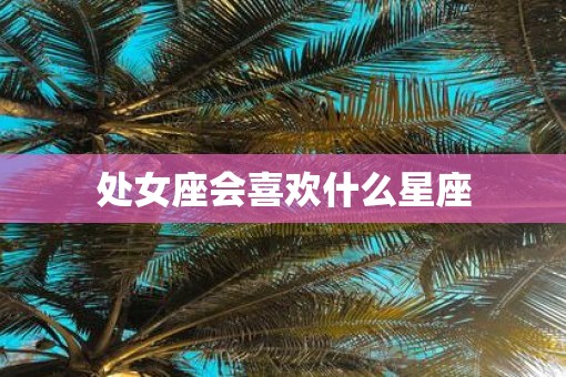 处女座会喜欢什么星座