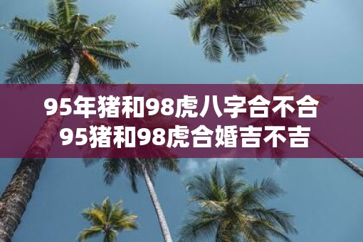 95年猪和98虎八字合不合 95猪和98虎合婚吉不吉