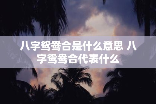 八字鸳鸯合是什么意思 八字鸳鸯合代表什么
