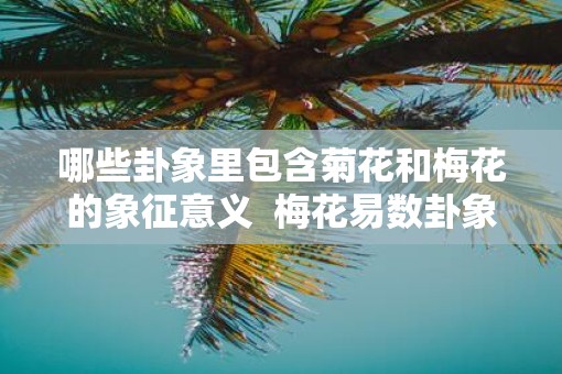 哪些卦象里包含菊花和梅花的象征意义  梅花易数卦象解释