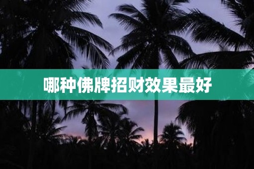 哪种佛牌招财效果最好