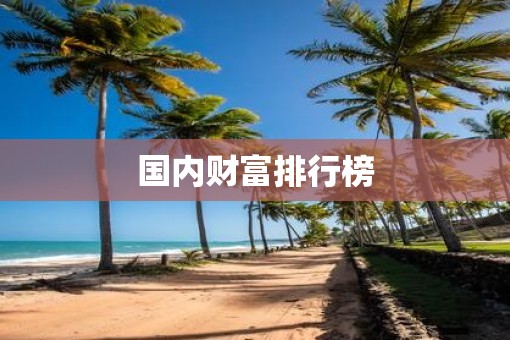 国内财富排行榜