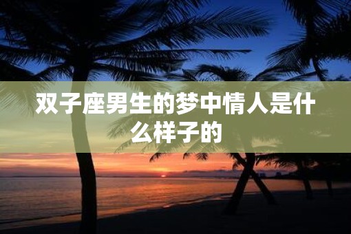 双子座男生的梦中情人是什么样子的
