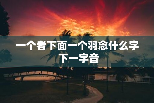 一个者下面一个羽念什么字 下一字音