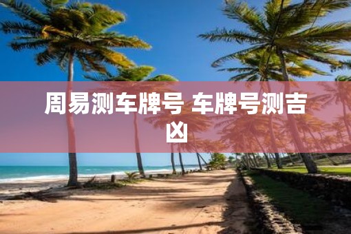 周易测车牌号 车牌号测吉凶