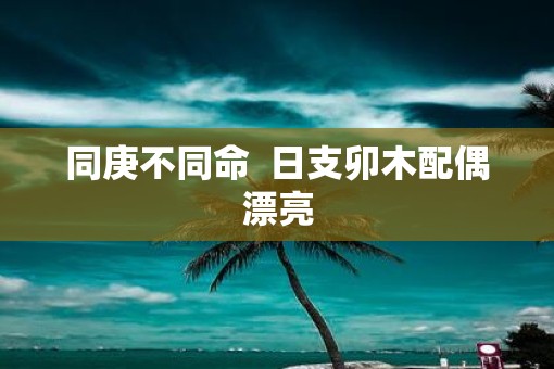 同庚不同命  日支卯木配偶漂亮