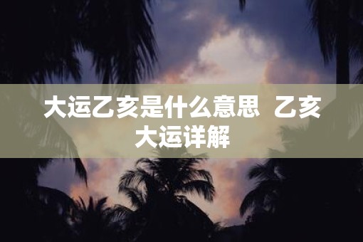 大运乙亥是什么意思  乙亥大运详解