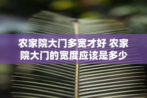 农家院大门多宽才好 农家院大门的宽度应该是多少
