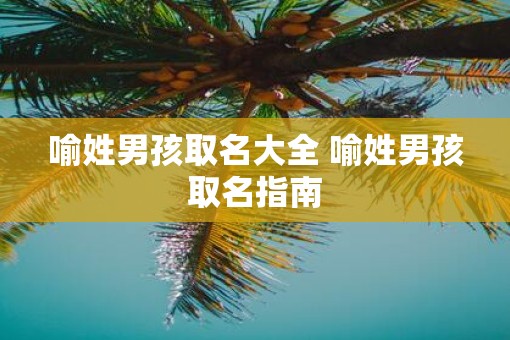 喻姓男孩取名大全 喻姓男孩取名指南